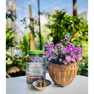 Nụ đuổi muỗi thảo dược [𝗛𝗔̀𝗡𝗚 𝗖𝗛𝗜́𝗡𝗛 𝗛𝗔̃𝗡𝗚] ❤️Thành phần hoàn toàn từ thiên nhiên❤️ dùng đuổi muỗi,xông nhà xua đuổi tà
