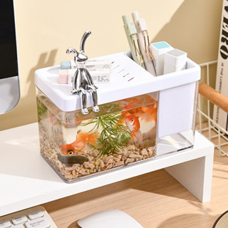 Bể Nuôi Cá, Set Bể Nuôi Rùa Thủy Sinh Để Bàn Full Phụ Kiện 5 Trong 1 Tiện Dụng