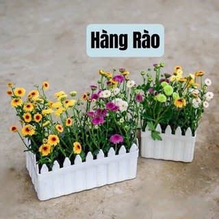 Chậu nhựa hàng rào