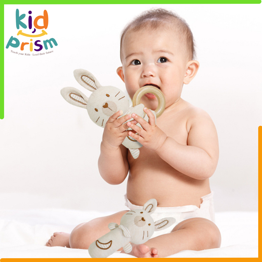 Đồ Chơi Lục Lạc Thú Bông Cho Bé Sơ Sinh - Đồ Chơi Lục Lạc Cầm Tay Hình Thú Nhồi Bông Mềm Mại Dễ Thương