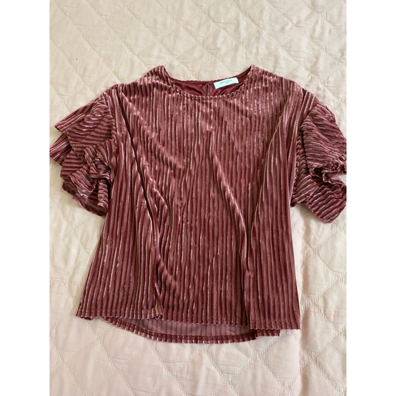 Passs áo polo thể thao