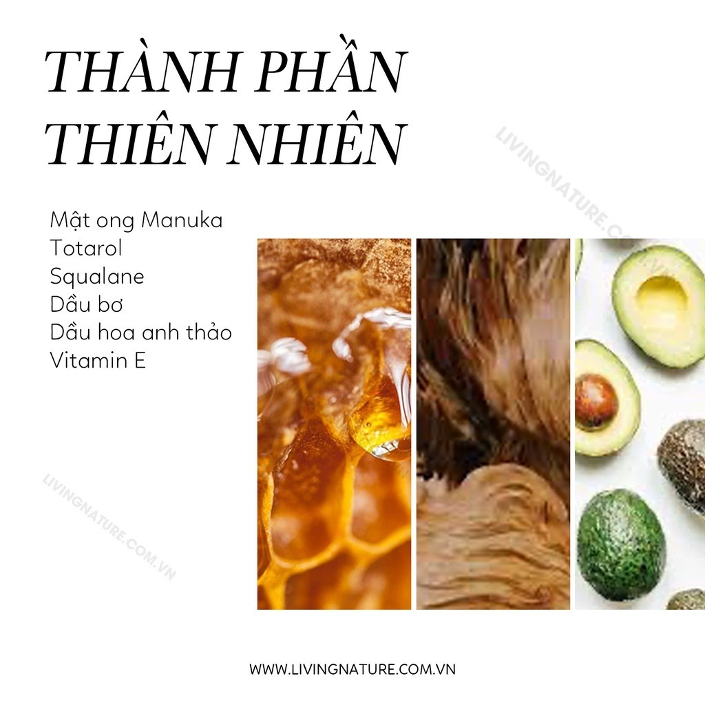 Lotion dưỡng ẩm da dầu mụn Living Nature Balancing Day Lotion