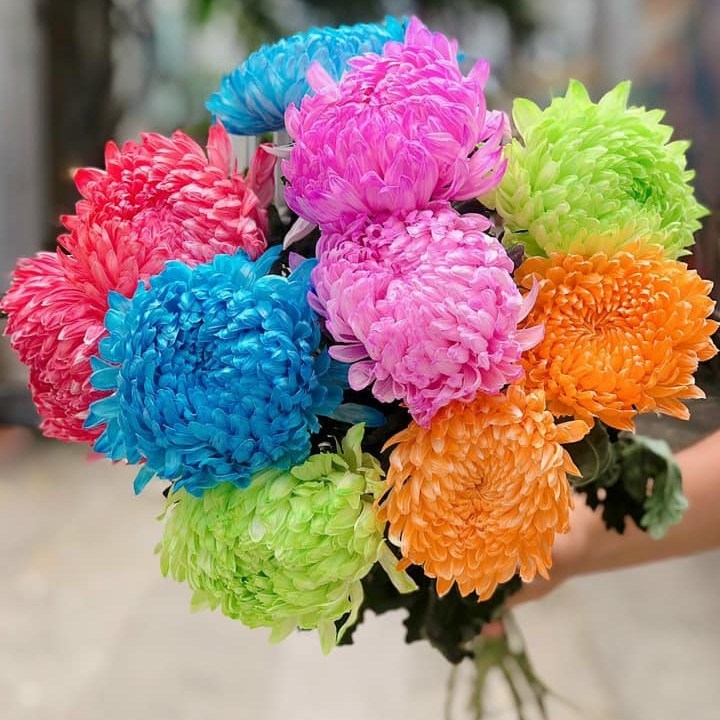 Nước Nhuộm Hoa Tươi đủ 12 màu  theo công nghệ Israel giúp nhuộm đổi màu hoa cắt cành theo ý muốn