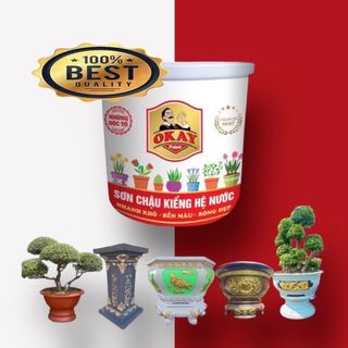 [Tặng cọ] Sơn Chậu Kiểng Hệ Nước Okay Paint 1kg