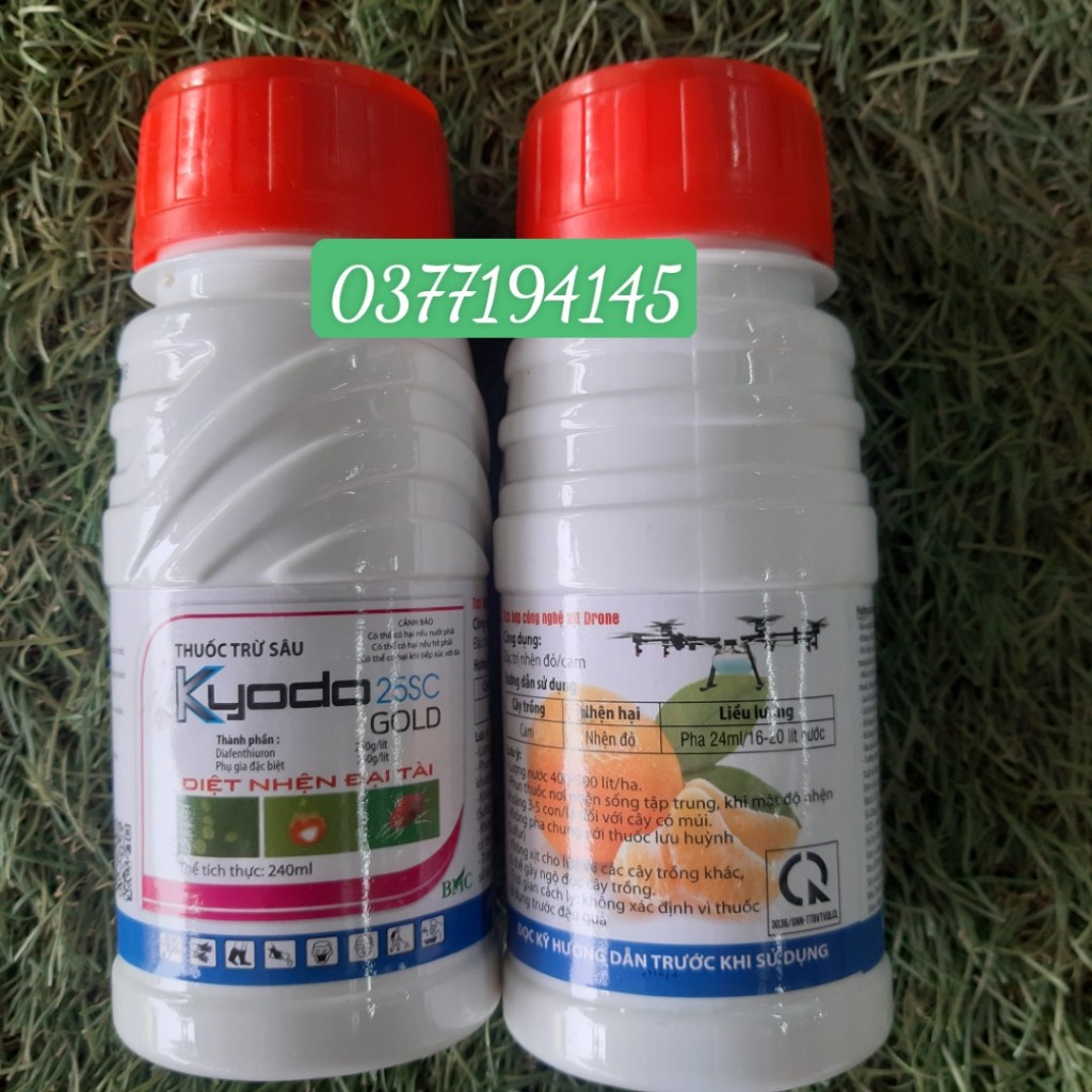 Kyodo 25SC Gold- 480ml - BMC