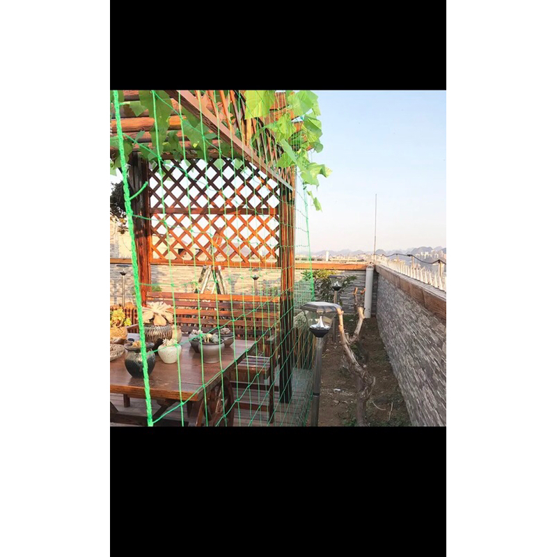 Combo 50m Lưới Giàn Leo, Dây Leo Giàn Bầu Bí Màu Xanh Khổ Cao 3M Lưới Bán theo mét tới