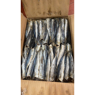 1Kg Cá Nục Hấp Nhạt Size Nhỏ
