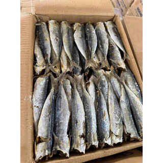 1Kg Cá Nục Hấp Nhạt Size Nhỏ