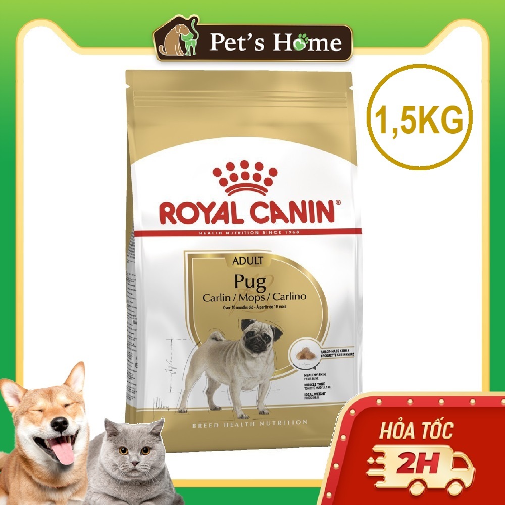 1,5kg Hat Royal Canin Pug Adult cho chó trên 10 tháng tuổi