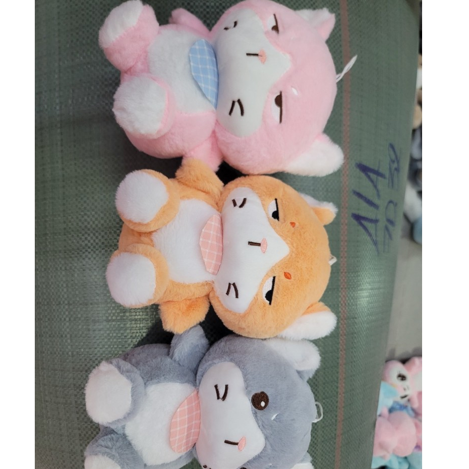 Gấu Bông Mèo Quạo, Mèo Mặt Khó Chịu Nhiều Màu Đáng Yêu, Mèo Bông Mắt Liếc Cute