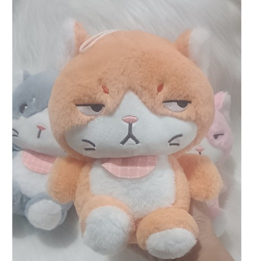 Gấu Bông Mèo Quạo, Mèo Mặt Khó Chịu Nhiều Màu Đáng Yêu, Mèo Bông Mắt Liếc Cute