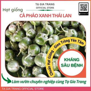 Hạt giống Cà pháo xanh Thái Lan cao sản