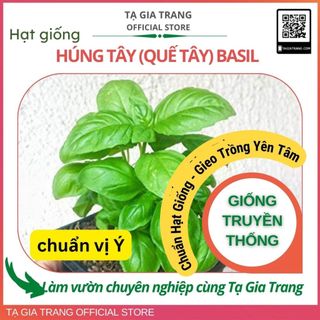 Hạt giống Húng Tây Basil (Quế Tây Italy)