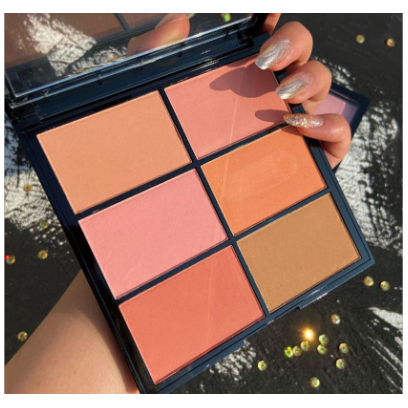 Bảng Má Hồng 6 Ô Chuyên Nghiệp Guicami Pro Multi Blush tone 01