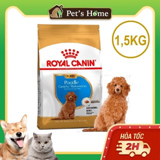 Hạt Royal Canin chuyên cho giống chó Poodle Puppy dưới 10 tháng tuổi
