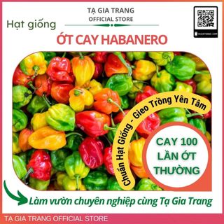 Hạt giống ớt habanero, cay bỏng lưỡi