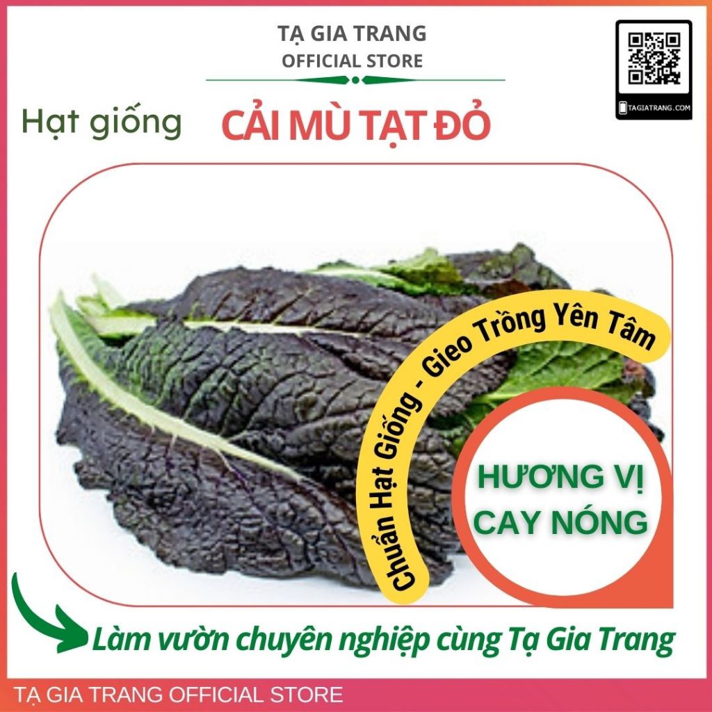 Hạt giống rau cải mù tạt lá đỏ