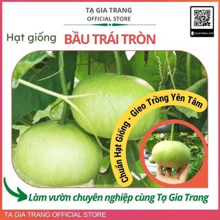 Hạt Giống Bầu Trái Tròn (Bầu Hương Trái Tròn)