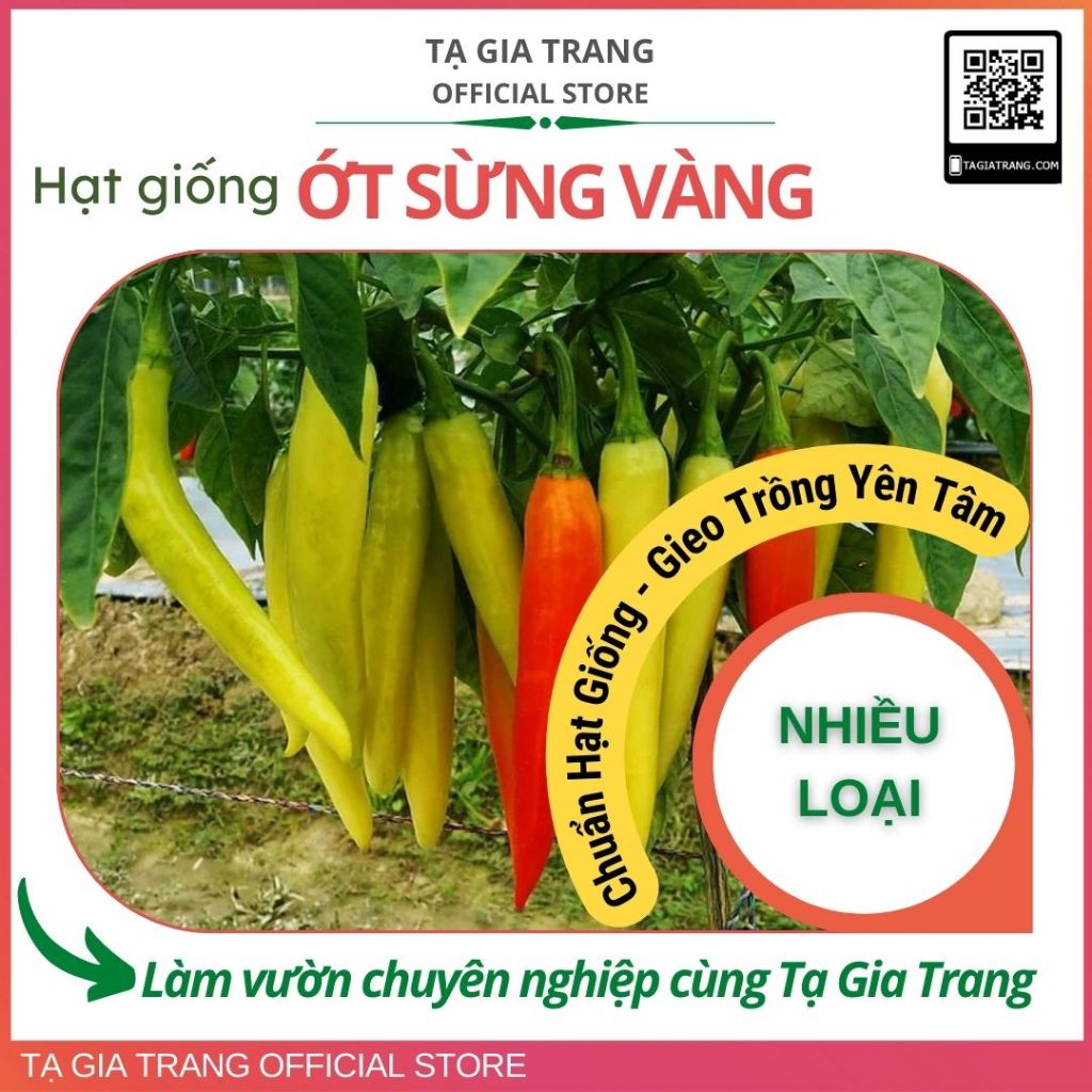 Hạt giống các loại ớt sừng vàng ngon dễ trồng