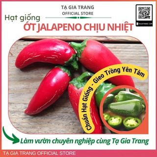 Hạt giống ớt cay chịu nhiệt sai trái Jalapeno