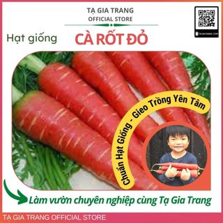 Hạt giống cà rốt đỏ RED CAROT