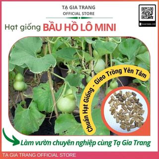 Hạt giống bầu hồ lô mini