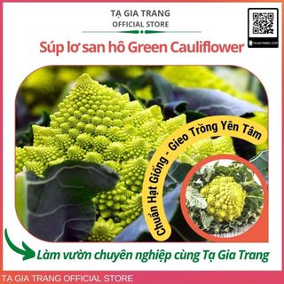 Hạt giống súp lơ san hô GREEN CAULIFLOWER