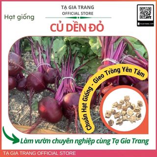 Hạt giống củ dền đỏ