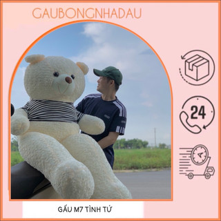 Gấu bông TEDDY m7 vải xoăn thú bông thú nhồi bông cao cấp
