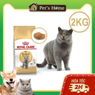 Hạt Royal Canin British Shorthair Adult dành cho mèo Anh Lông Ngắn trên 12 tháng tuổi