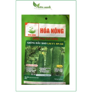 Hạt giống bầu trái ngắn cao sản F1 trồng quanh năm