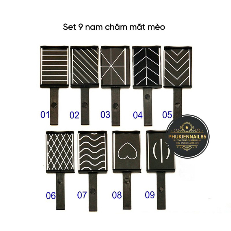 Bộ nam châm hút mắt mèo 9c