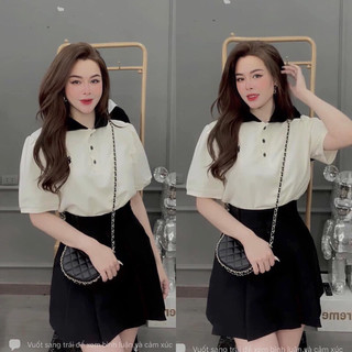 Áo phông polo cổ pha cài cúc in hình mèo con 4 màu (kèm ảnh thật và video)