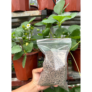 500g phân gà viên hữu cơ/ phân bón organic
