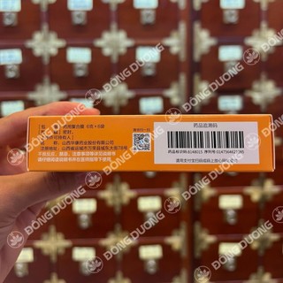 Độc Hoạt Tang Ký Sinh Hoàn ( Mẫu Mới)