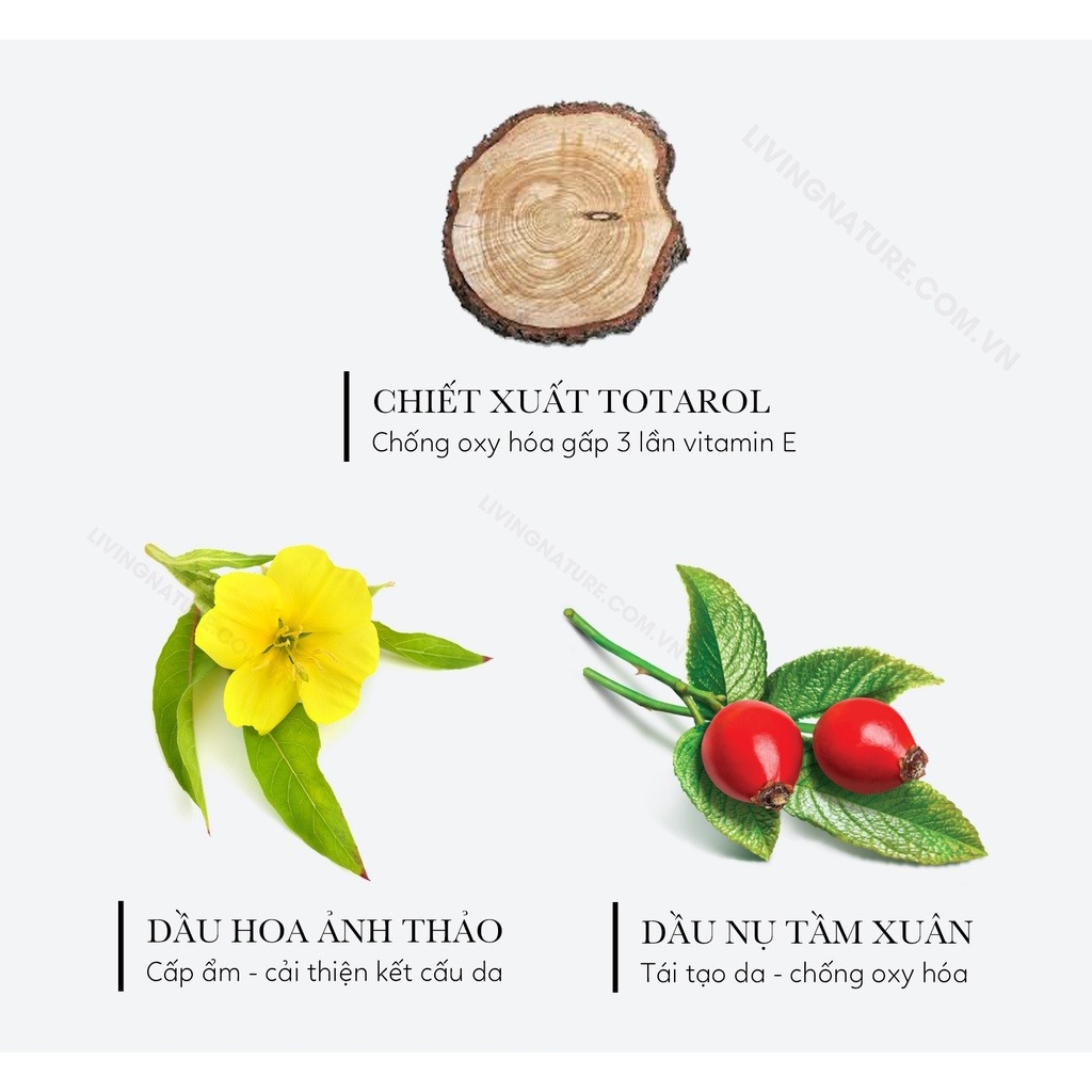 Dầu dưỡng da Living Nature Ultimate Day Oil 30ml