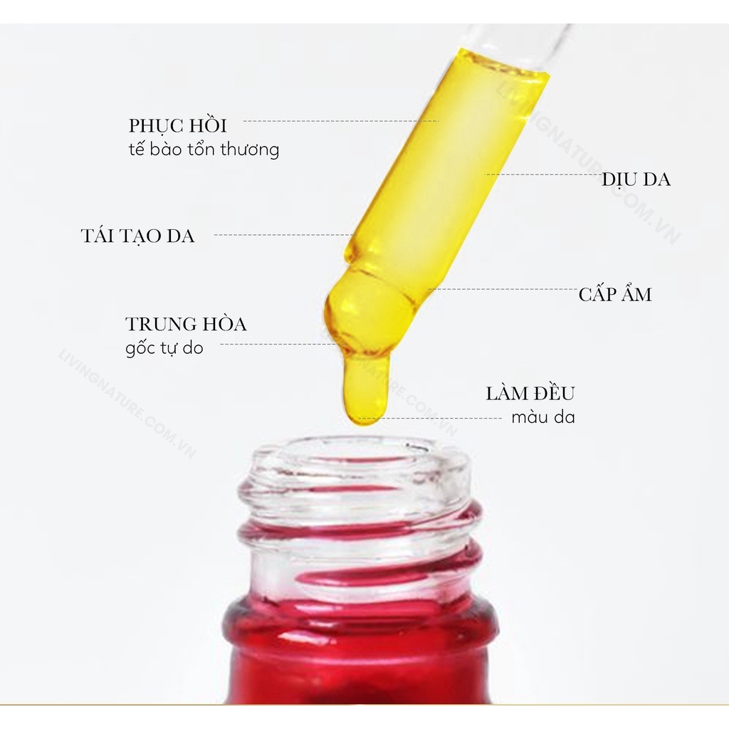 Dầu dưỡng da Living Nature Ultimate Day Oil 30ml