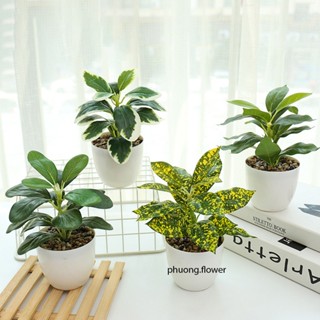 Chậu cây giả để bàn 18cm bằng nhựa cao cấp lá mềm mại kèm chậu nhựa sẵn sỏi decor giống y như cây thật