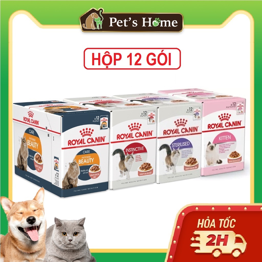 Hộp 12 gói pate Royal Canin cho mèo các loại 85g