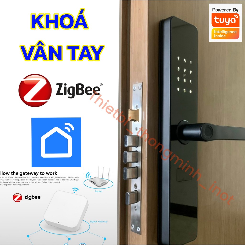 Khoá Vân Tay Tuya Zigbee Cho Cửa Gỗ Lắp Mới Và Thay Thế, Hướng Dẫn Lắp Đặt, Lắp Đặt Tận Nơi bảo Hành 1 Năm
