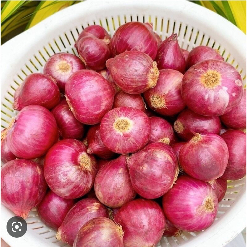 1Kg-củ-hành-tím-Ấn-Độ