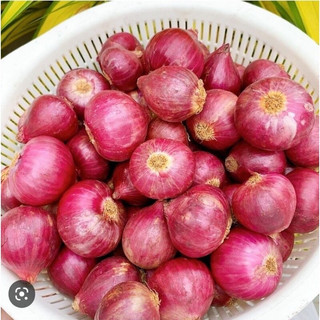 1Kg-củ-hành-tím-Ấn-Độ