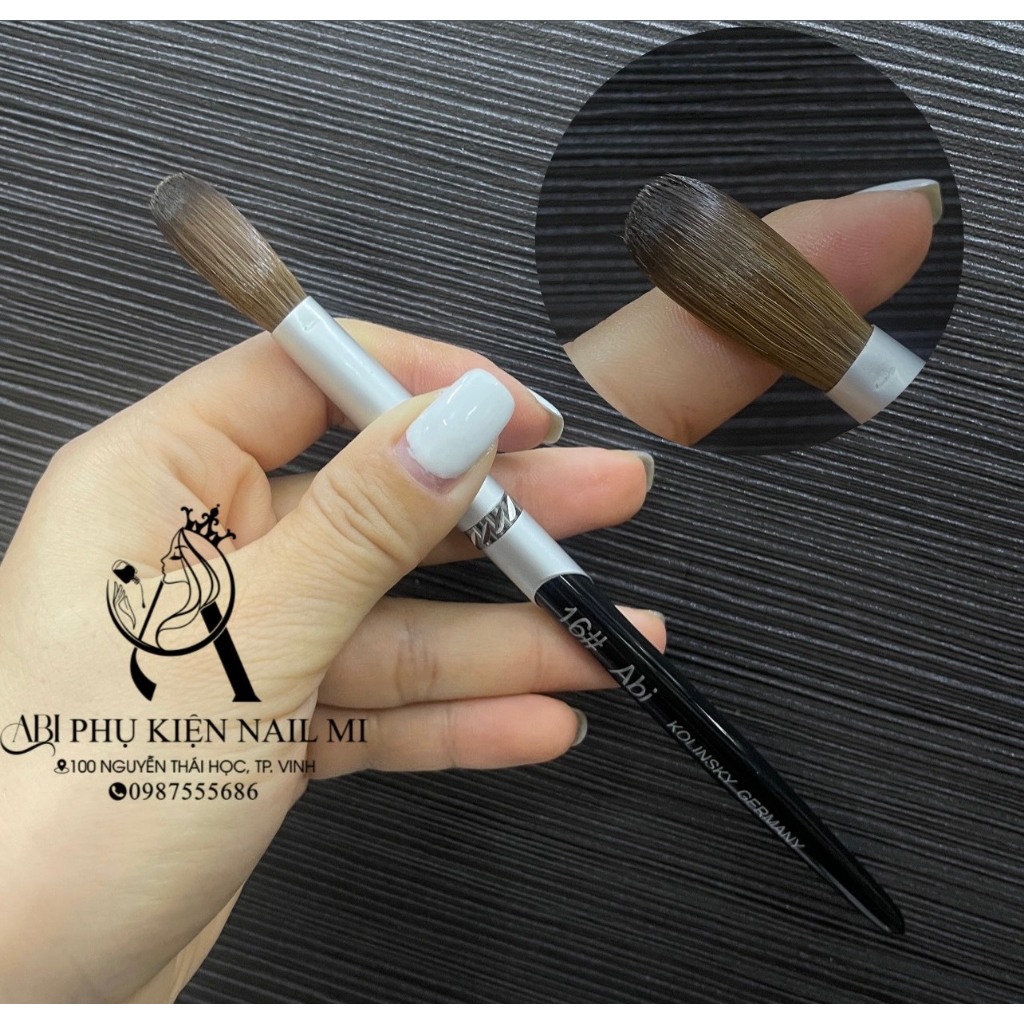 Cọ đắp bột 100% lông chồn size 16 châu âu