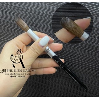Cọ đắp bột 100% lông chồn size 16 châu âu