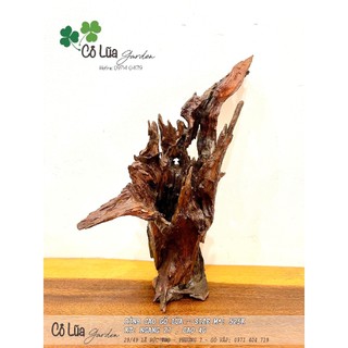 Chậu gỗ lũa / chậu trồng cây / chậu trồng sen đá / gỗ lũa ghép lan / bình cắm hoa bằng gỗ