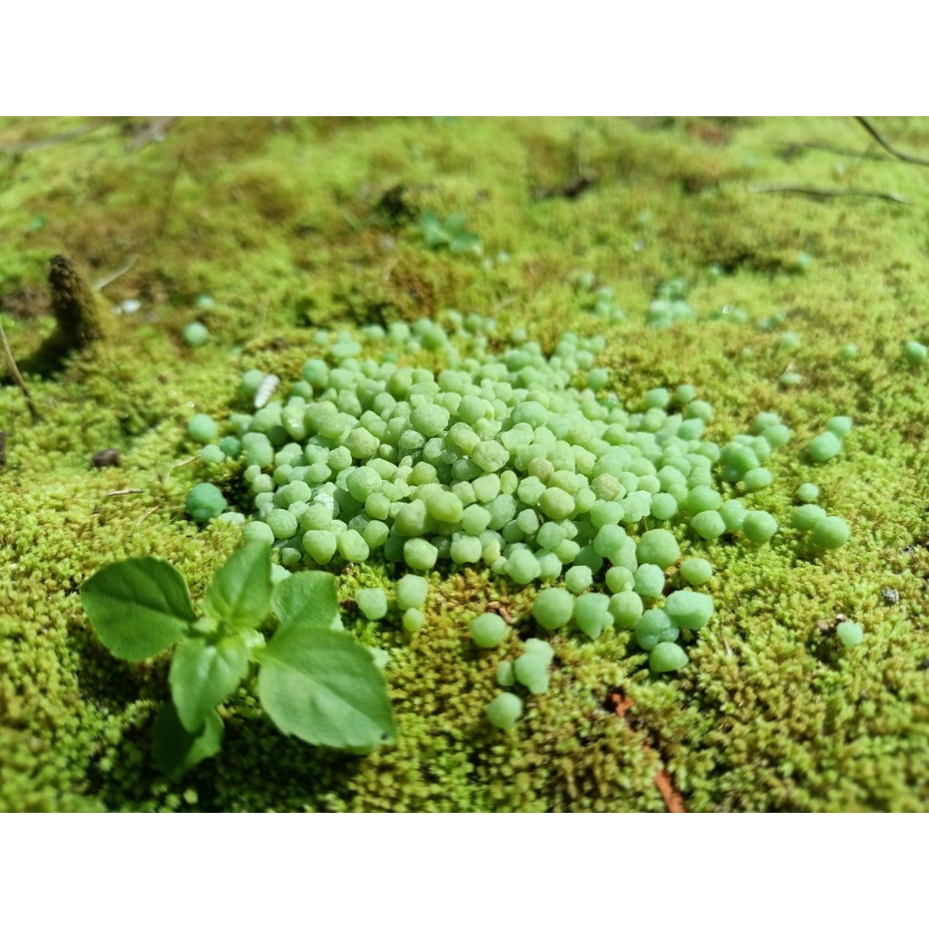 Phân bón DAP 18-18-46 HỒNG HÀ LOẠI 1, bổ sung dinh dưỡng cho cây trồng, gây tảo nhanh cho ao nuôi tôm set 100-200g