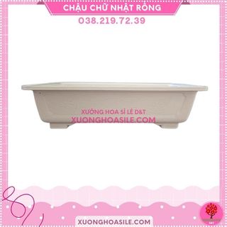 CHẬU BONSAI HOA VĂN RỒNG NHỰA SIZE TO