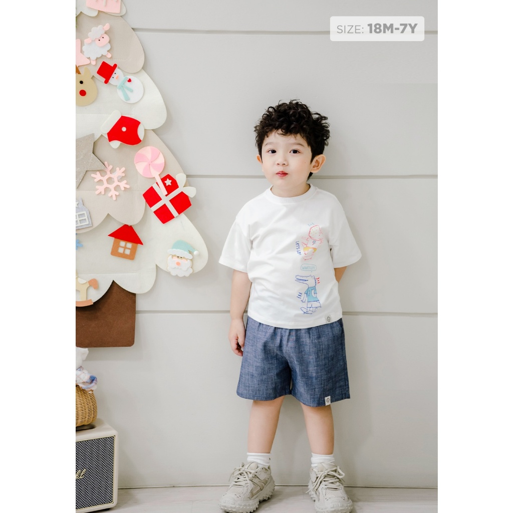 Áo thun bé trai, áo thun form rộng cho bé trai cotton in hình dễ thương cho bé từ 1 tuổi - 7 tuổi Baa Baby B-BT-AT30N