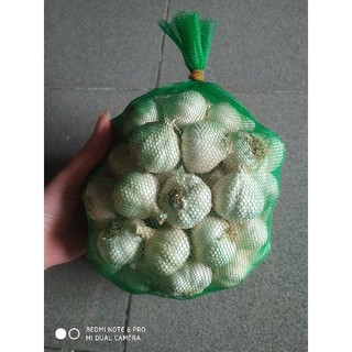 500g tỏi ninh thuận củ to