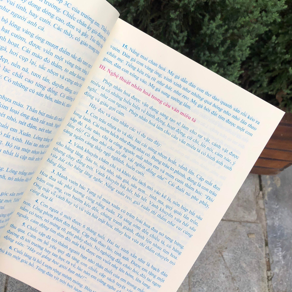 Sách Minh Long - Tuyển Chọn Những Bài Văn Miêu Tả